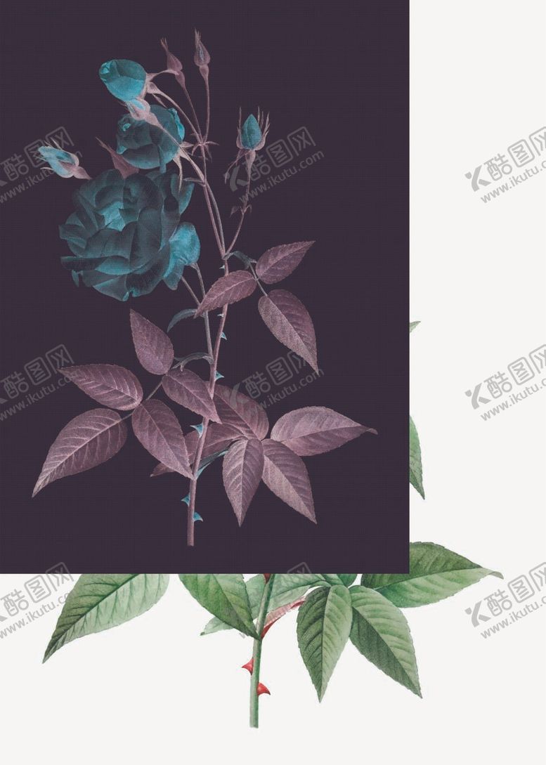 编号：89715610020132371654【酷图网】源文件下载-花朵粉色