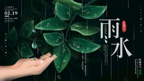 雨水节气二十四节气海报节气海报