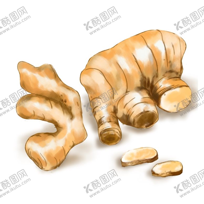 编号：48882312180927474132【酷图网】源文件下载-生姜手绘插画