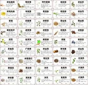 中药材