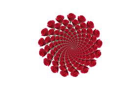 玫瑰花环