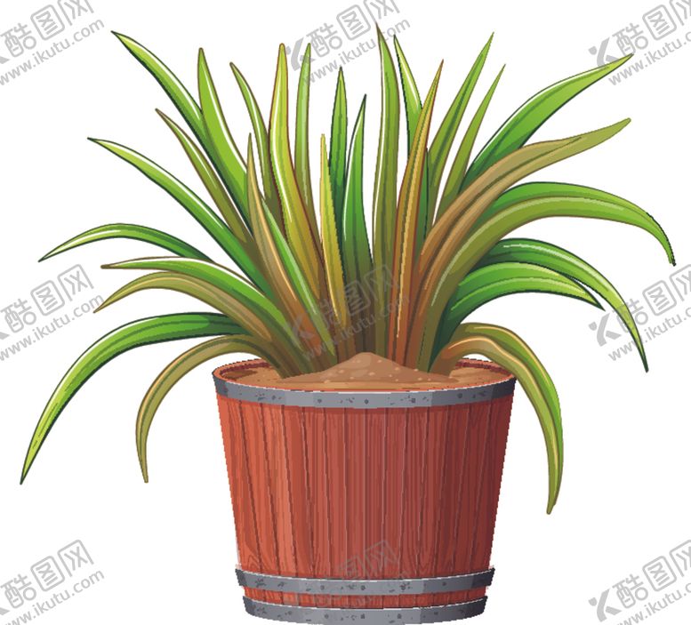 编号：40648509141942513953【酷图网】源文件下载-盆景盆栽