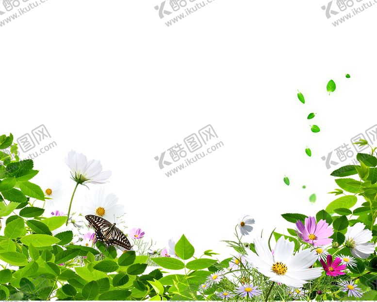编号：64233107071313019156【酷图网】源文件下载-绿色图片