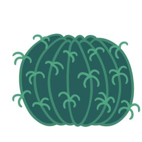 小清新仙人掌绘画图案
