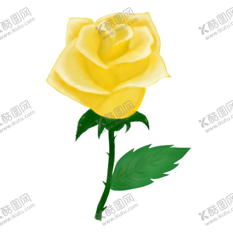 编号：82354704181203312358【酷图网】源文件下载-玫瑰