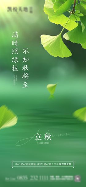 立秋节气海报