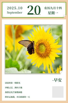 早安海报