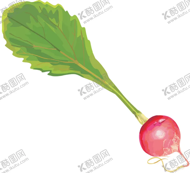 编号：95099401291537374192【酷图网】源文件下载-萝卜图片