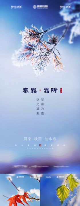 霜降寒露海报