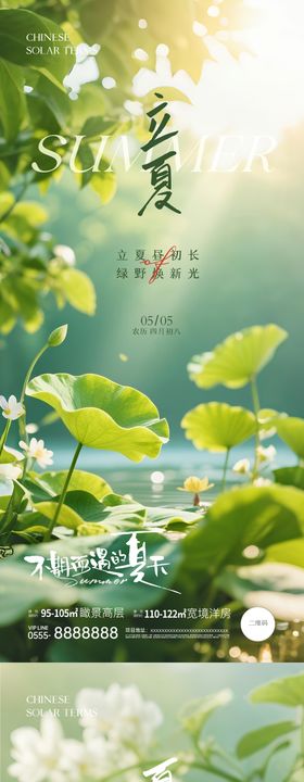 地产芒种夏至插画风景海报