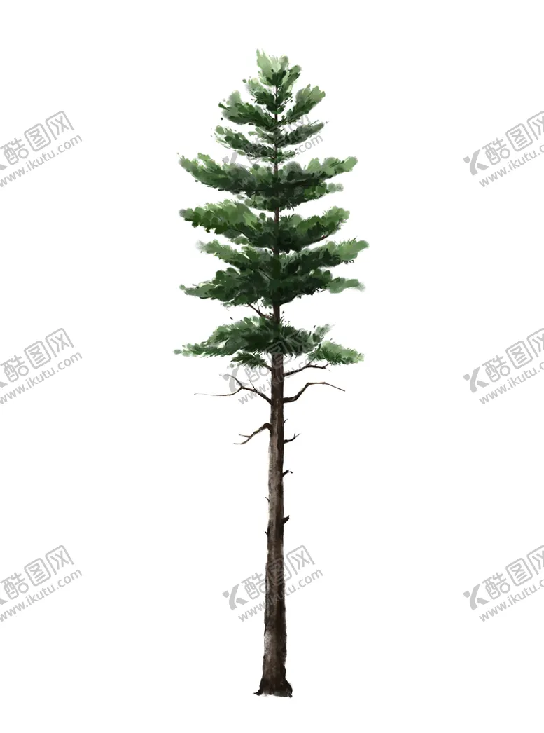 编号：99922910190054522363【酷图网】源文件下载-松树手绘素材