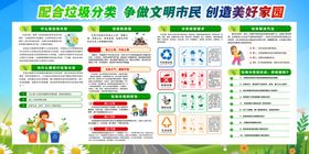 垃圾分类创建卫生城市指南回收投放
