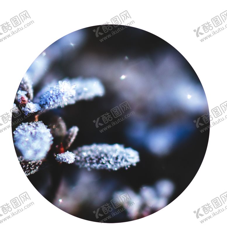 编号：30524105070232205696【酷图网】源文件下载-霜降