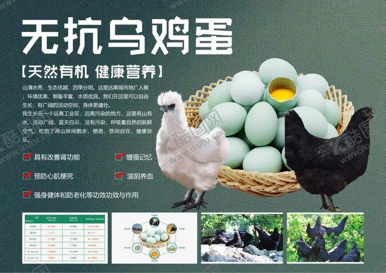 编号：67382502261541072803【酷图网】源文件下载-乌鸡