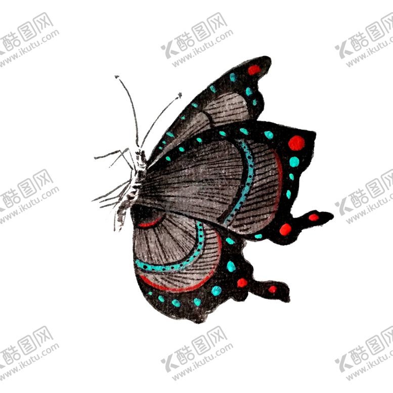 编号：52149807080947202877【酷图网】源文件下载-展翅蝴蝶卡通插画