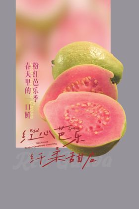 红心芭乐水果宣传卡片