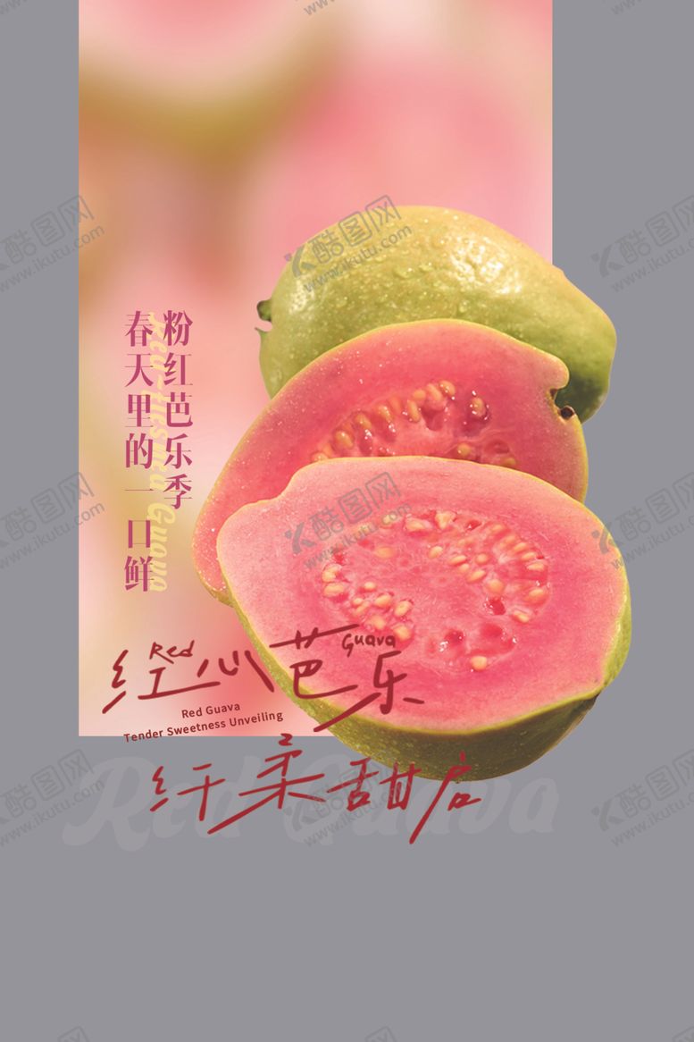 编号：24625604242045164776【酷图网】源文件下载-红心芭乐水果宣传卡片