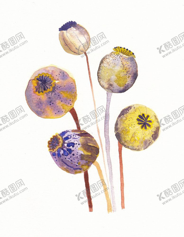 编号：34939506231854391260【酷图网】源文件下载-北欧风格淡色水彩画