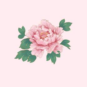 手绘牡丹花