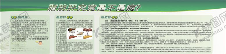 编号：31187406281249006088【酷图网】源文件下载-脂肪肝究竟是不是病