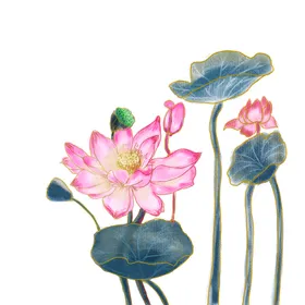 莲花荷花夏季叶水墨画