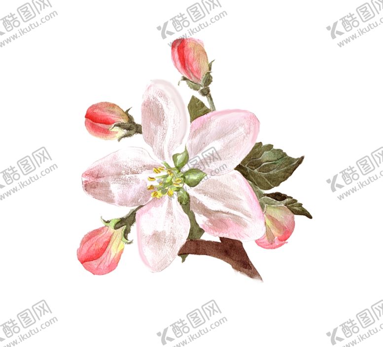 编号：55664409260350016730【酷图网】源文件下载-桃花