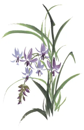 水墨兰花PNG免扣素材手绘卉梅竹菊蝴蝶飞舞