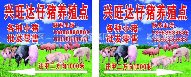 编号：48296311230939113344【酷图网】源文件下载-鑫旺达猪仔