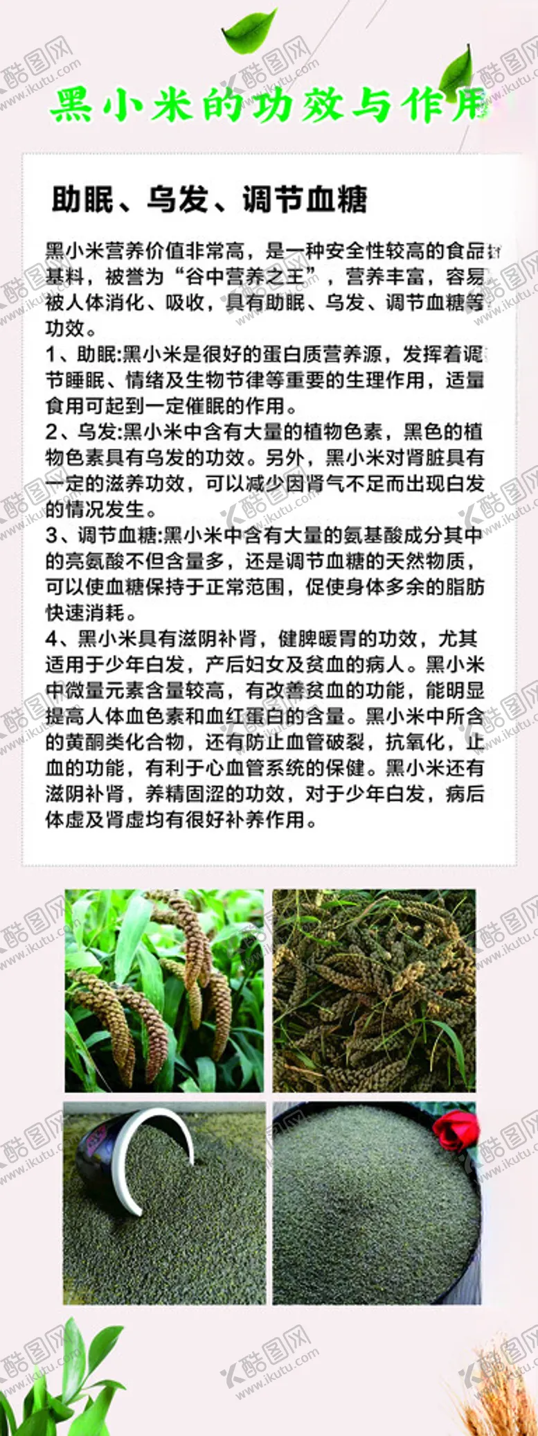 编号：82905103071537162236【酷图网】源文件下载-黑小米的功能与作用