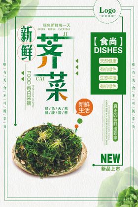 新鲜荠菜营养健康蔬菜海报