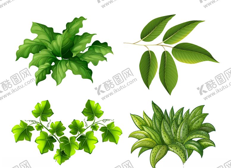编号：29179305150722344744【酷图网】源文件下载-手绘植物