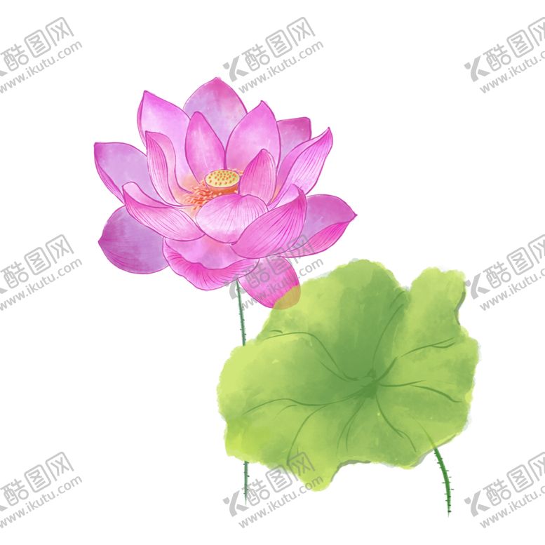 编号：42194409261527426712【酷图网】源文件下载-荷花元素