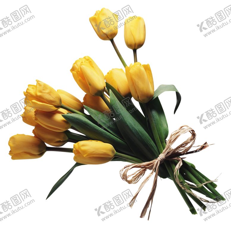 编号：82480606260633353139【酷图网】源文件下载-鲜花