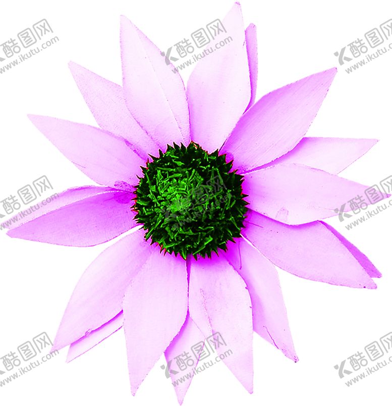 编号：93635507042011373831【酷图网】源文件下载-花素材