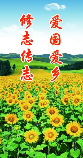 爱国爱乡