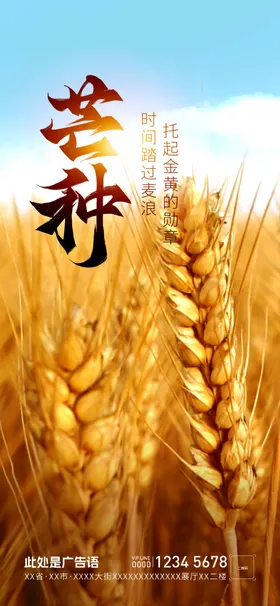 芒种插画农业麦穗二十四节气
