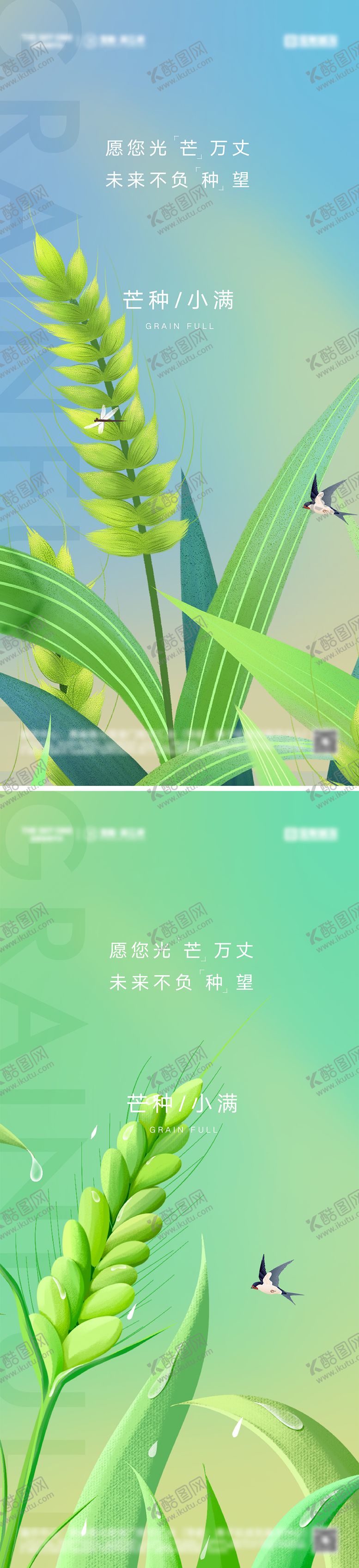 编号：46101411302135107830【酷图网】源文件下载-芒种小满节气海报