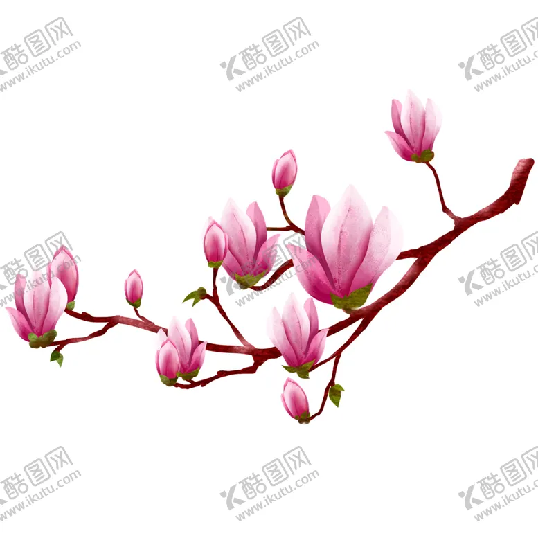 编号：14129501210532204823【酷图网】源文件下载-红玉兰花枝
