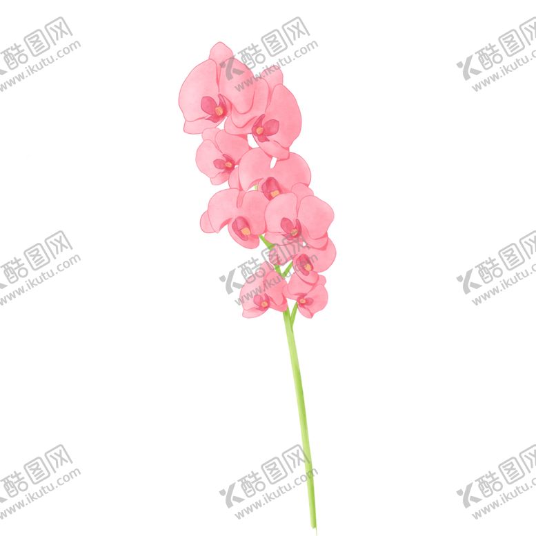 编号：79723002061227155195【酷图网】源文件下载-手绘水彩节日用花蝴蝶兰