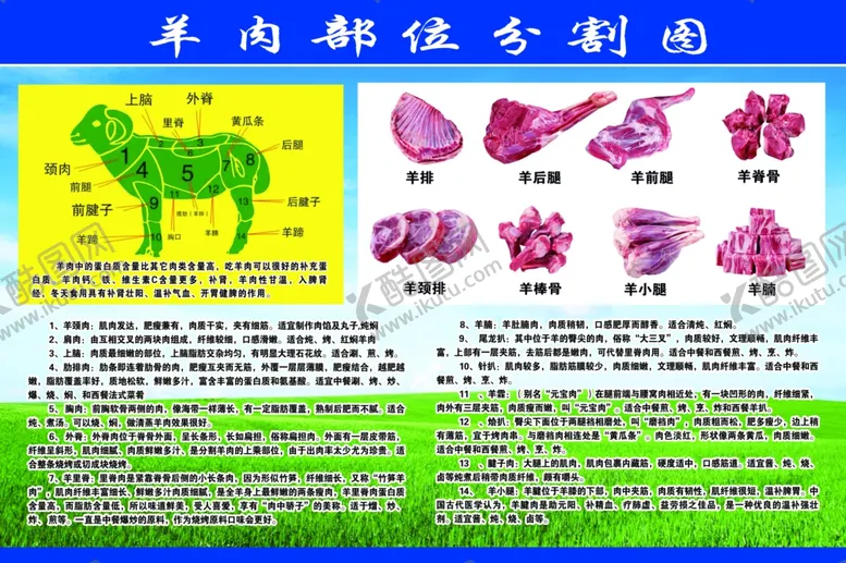 编号：93605802261354414667【酷图网】源文件下载-羊肉部位分割图