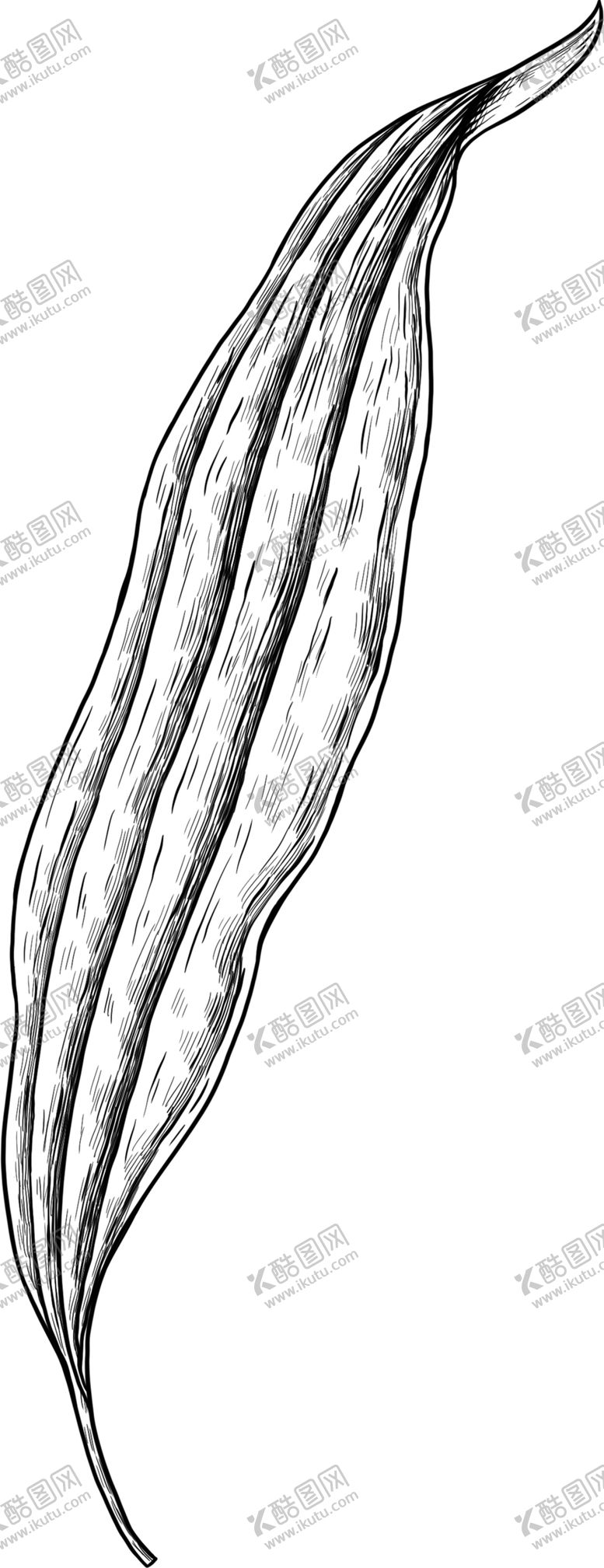 编号：52459609261318341078【酷图网】源文件下载-手绘植物