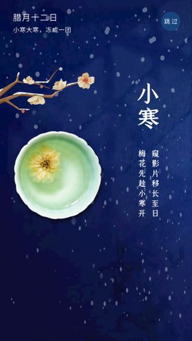 小寒节气海报