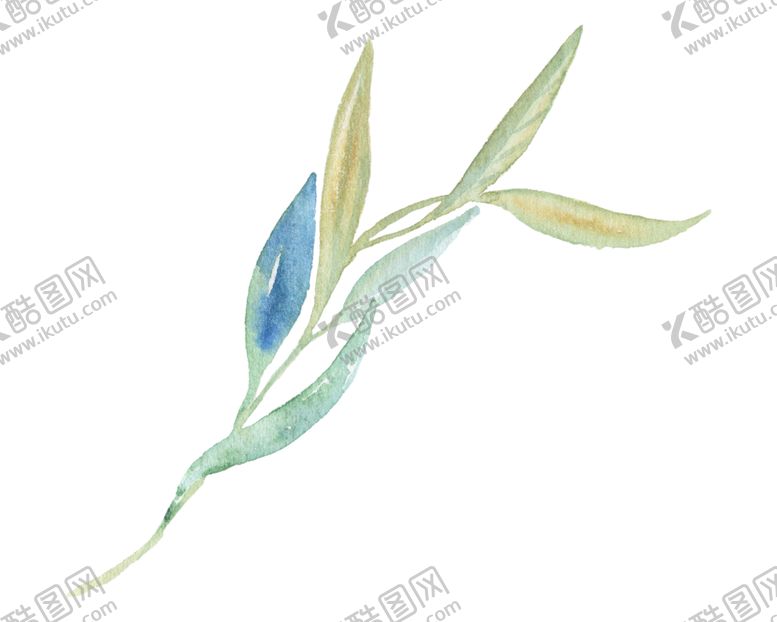 编号：80635005050502341042【酷图网】源文件下载-北欧小清新水彩花朵插画