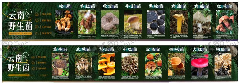 编号：28829404040549074642【酷图网】源文件下载-云南野生菌