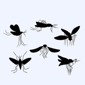 蚊子相关