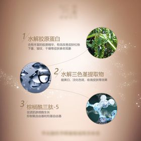 简约成分