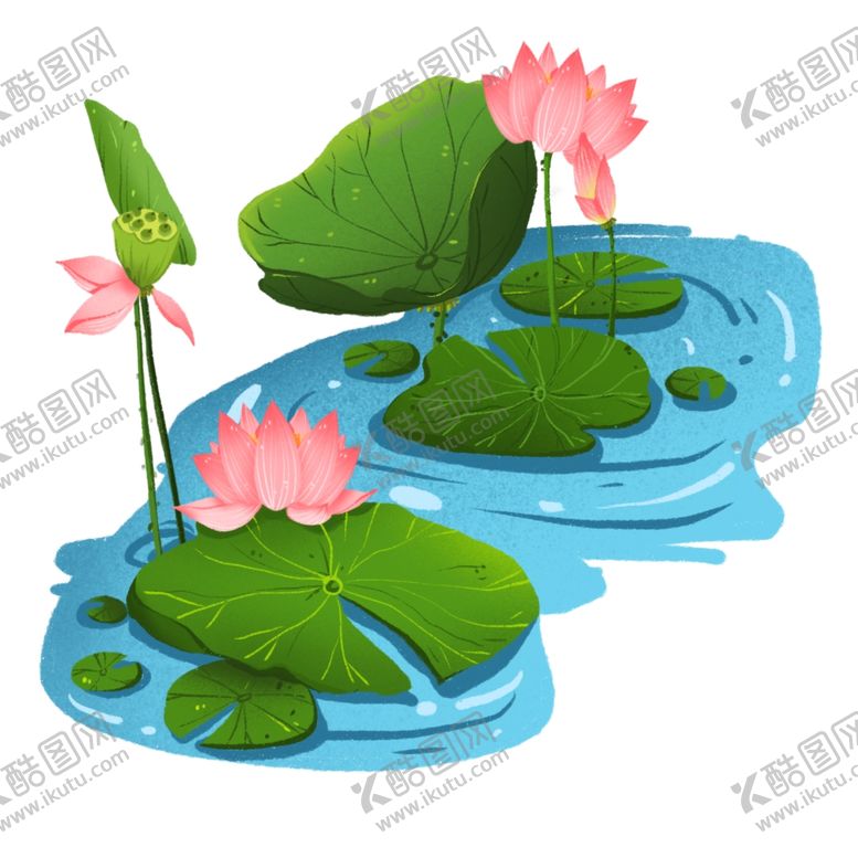 编号：69565509222018194928【酷图网】源文件下载-荷花