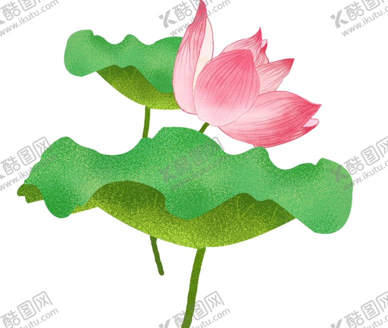 编号：87191105190344249059【酷图网】源文件下载-荷花元素