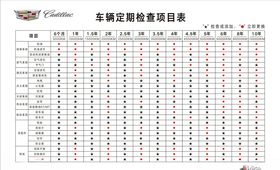 项目检车表