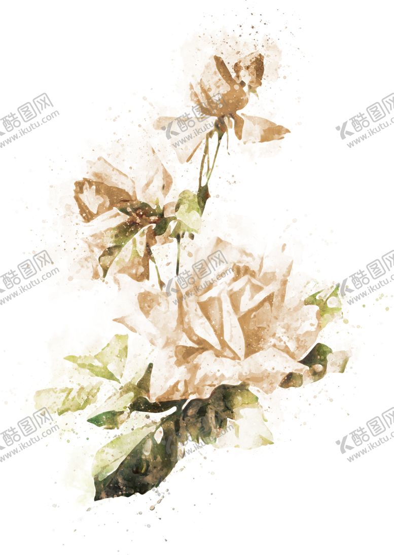 编号：94456109241240391586【酷图网】源文件下载-手绘花卉